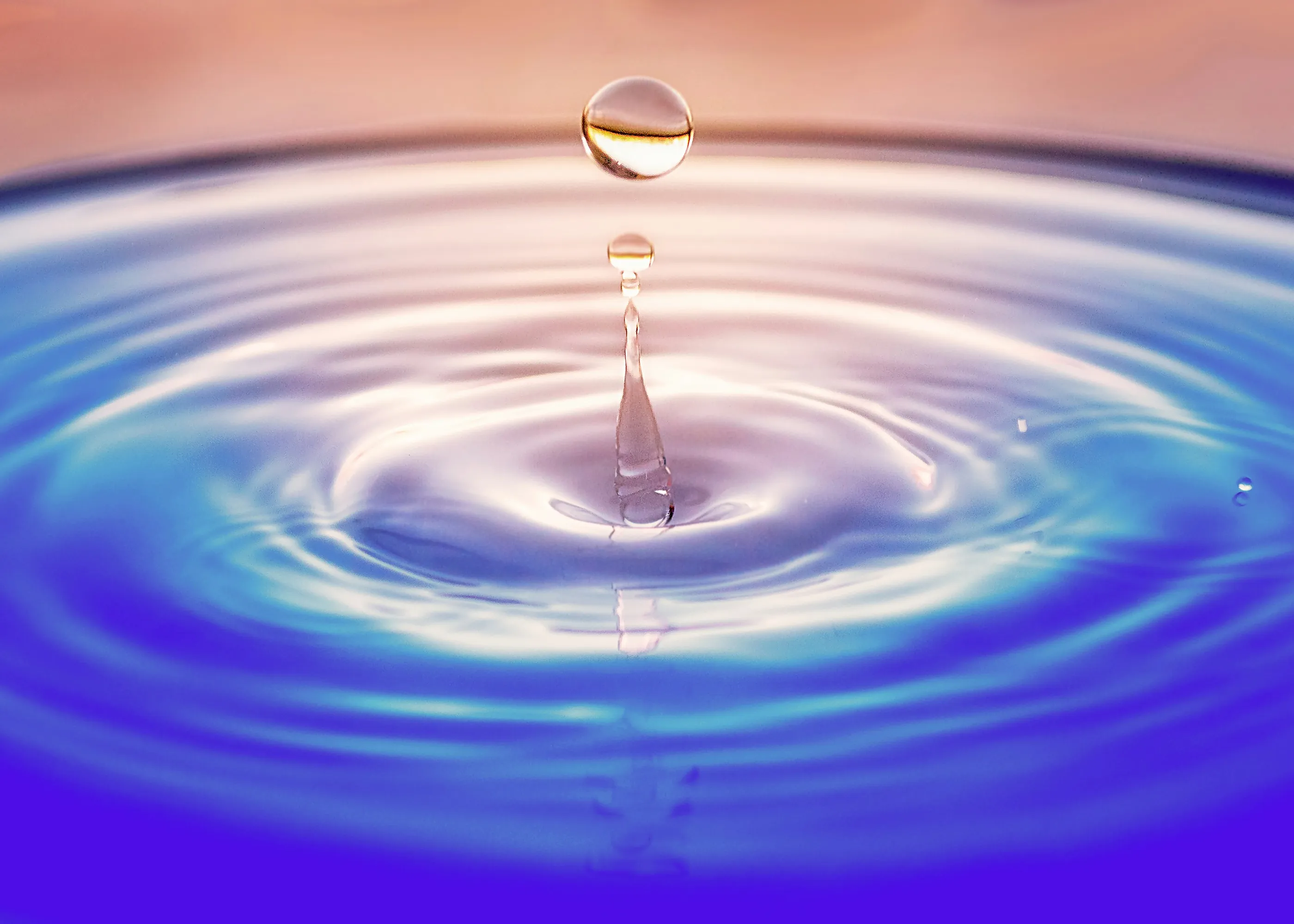 ウォーターサーバー事業